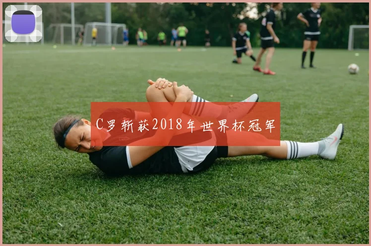 C罗斩获2018年世界杯冠军
