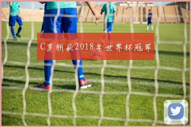 C罗斩获2018年世界杯冠军