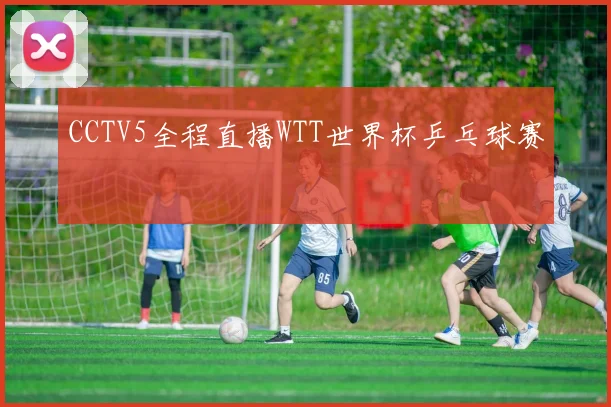 CCTV5全程直播WTT世界杯乒乓球赛